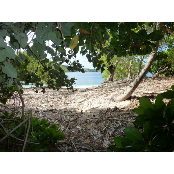照片 斐济(Fiji) 2010-05 26
