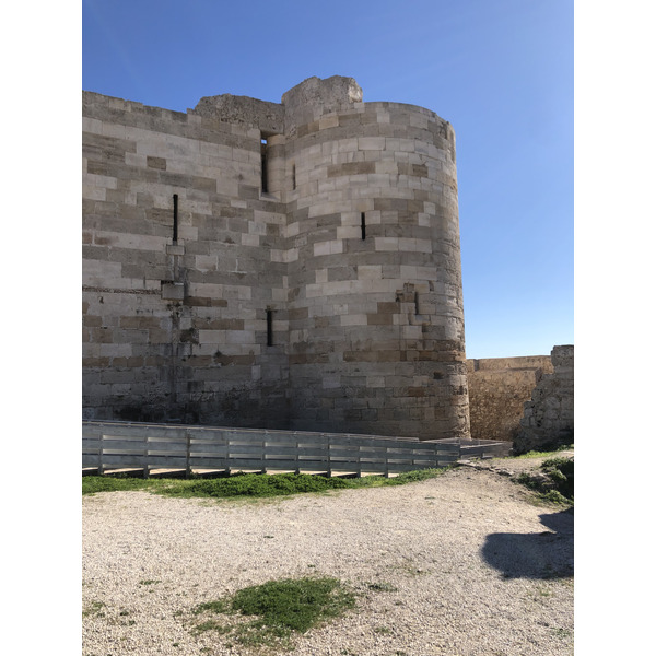 照片 意大利(Italy) 西西里岛(Sicily) 奥尔蒂贾岛(Ortigia) 2020-02 211