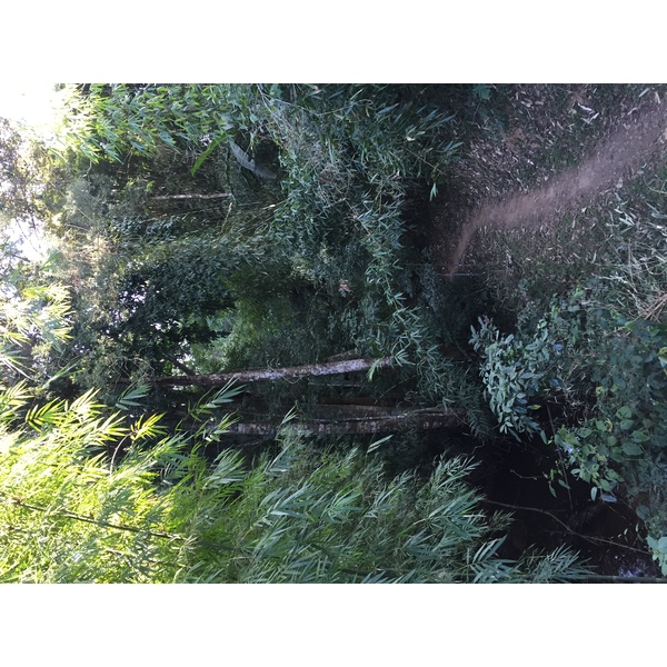 照片 泰国(Thailand) 普欣隆卡国家公园(Phu Hin Rong Kla National Park) 2014-12 199