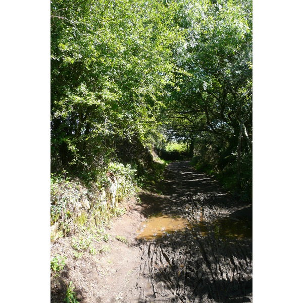照片 法国(France) 埃尔德旺(Erdeven) 2008-07 6