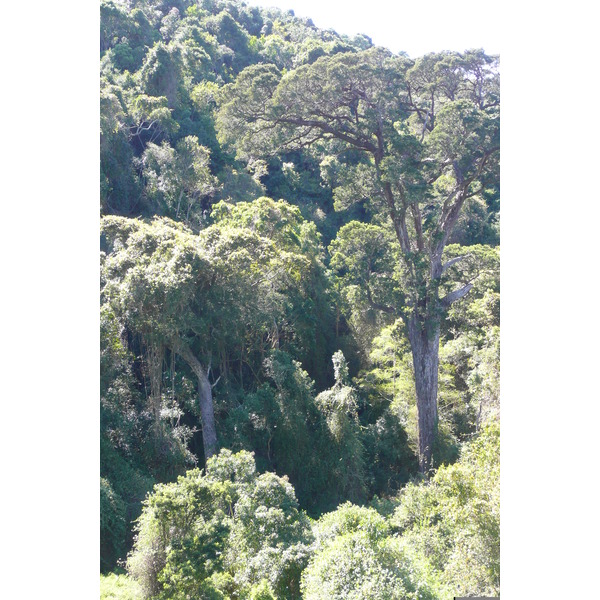 照片 南非(South Africa) 自然谷(Nature's Valley) 2008-09 29