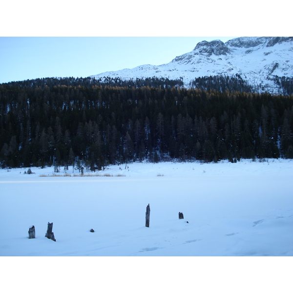 照片 瑞士(Switzerland) 圣莫里茨施拉里尼亚(St Moritz Schlarigna) 2007-01 70