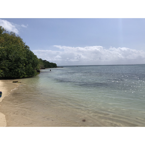 照片 瓜德罗普(Guadeloupe) 圣弗朗索瓦(Saint Francois) 2021-02 58