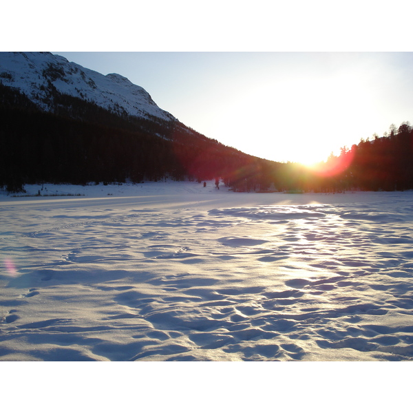 照片 瑞士(Switzerland) 圣莫里茨施拉里尼亚(St Moritz Schlarigna) 2007-01 27