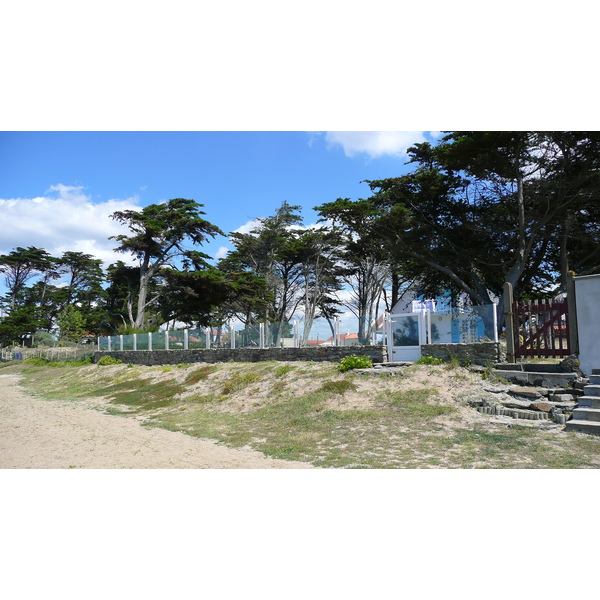 照片 法国(France) 普雷法耶(Prefailles) 圣吉尔达角至拉普雷(La pointe Saint Gildas to La Pree) 2007-08 45