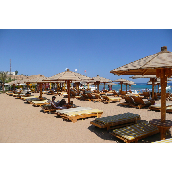照片 埃及(Egypt) 沙姆沙伊赫(Sharm el Sheikh) 2008-06 13