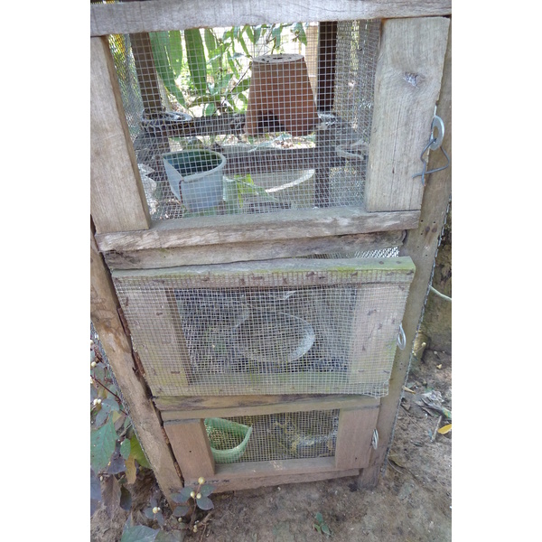 照片 泰国(Thailand) 清迈(Chiang Mai) 湄沙蛇园(Mae Sa Snake Farm) 2010-12 2