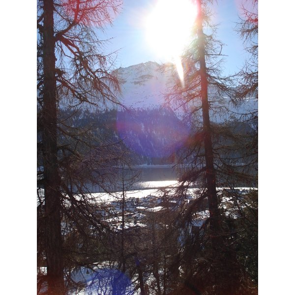照片 瑞士(Switzerland) 库尔至圣莫里茨公路(Chur to St Moritz Road) 2007-01 46