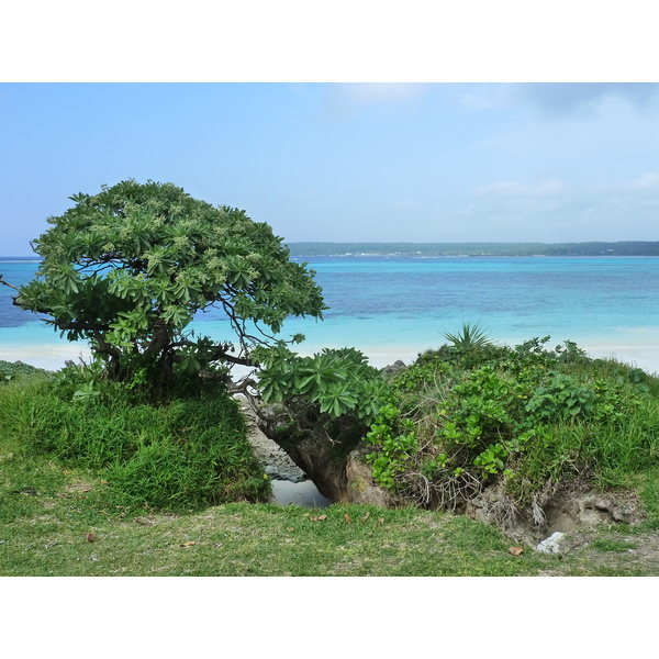 照片 新喀里多尼亚(New Caledonia) 利富岛(Lifou) 卢埃西拉(Luecilla) 2010-05 50