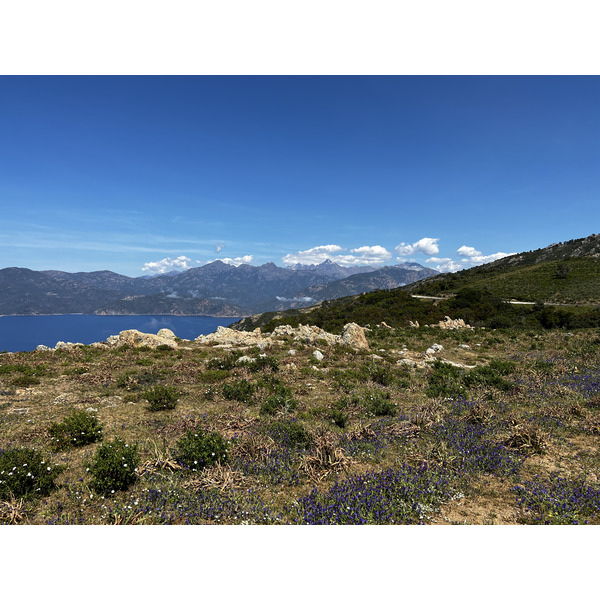 照片 法国(France) 科西嘉岛(Corsica) 罗索角(Capo Rosso) 2023-05 28