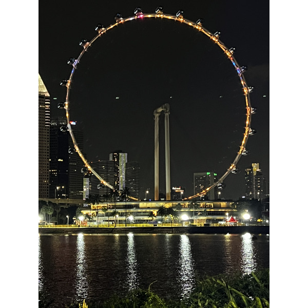 照片 新加坡(Singapore) 滨海湾花园(Garden by the bay) 2023-01 14