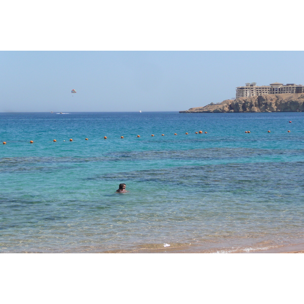 照片 埃及(Egypt) 沙姆沙伊赫(Sharm el Sheikh) 2008-06 27