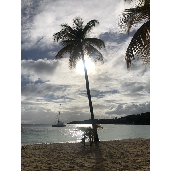 照片 瓜德罗普(Guadeloupe) 卡拉维尔海滩(La Caravelle Beach) 2021-02 102