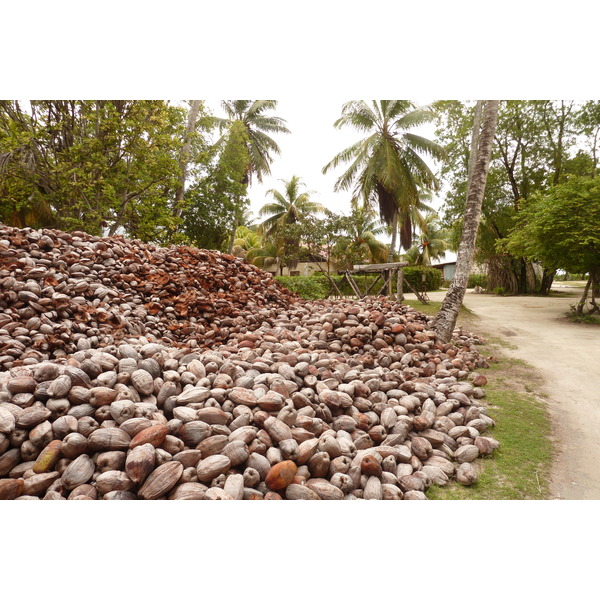 照片 塞舌尔(Seychelles) 拉迪格岛(La Digue) 2011-10 182