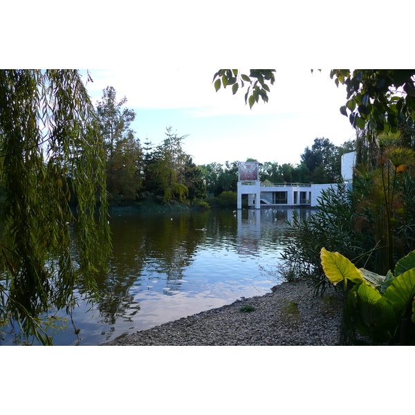 照片 法国(France) 尼斯(Nice) 凤凰公园(Phoenix Parc) 2007-10 77