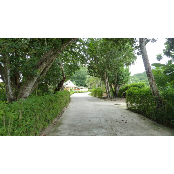 照片 塞舌尔(Seychelles) 拉迪格岛(La Digue) 2011-10 61