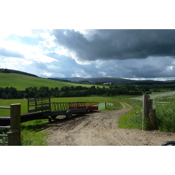 照片 英国(United Kingdom) 凯恩戈姆山国家公园(Cairngorms National Park) 2011-07 64