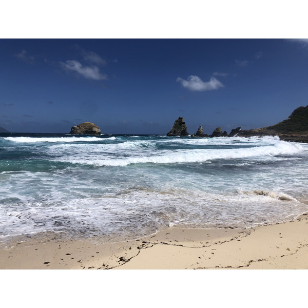 照片 瓜德罗普(Guadeloupe) 城堡角(Castle Point) 2021-02 252