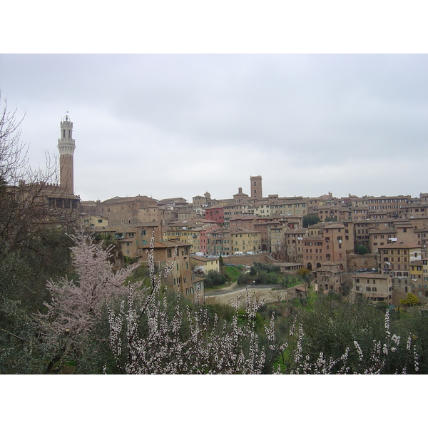照片 意大利(Italy) 锡耶纳(Siena) 2004-03 37