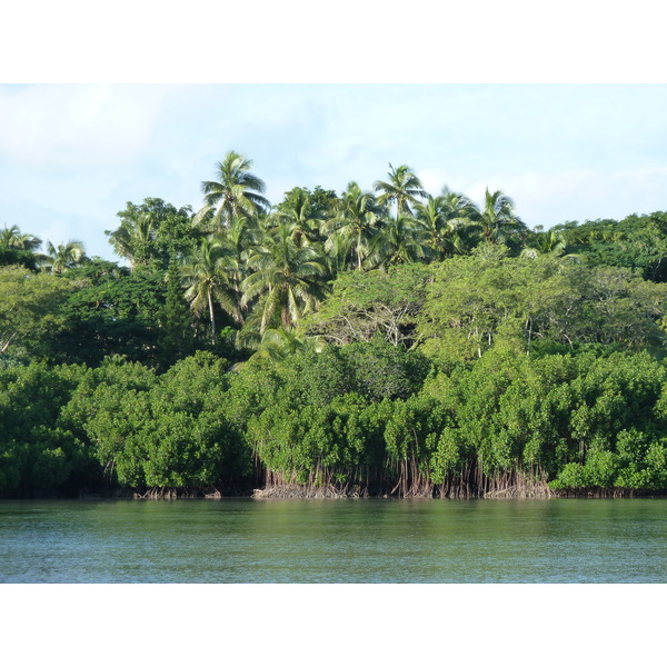 照片 斐济(Fiji) 楠迪至辛加东卡公路(Nadi to Sigatoka road) 2010-05 32