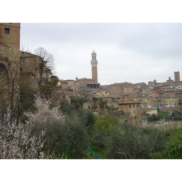 照片 意大利(Italy) 锡耶纳(Siena) 2004-03 4