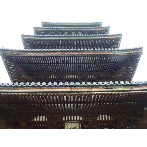 照片 日本(Japan) 京都(Kyoto) 仁和寺(Ninna ji Temple) 2010-06 32