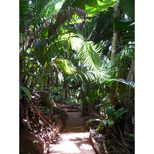 照片 塞舌尔(Seychelles) 2011-10 46