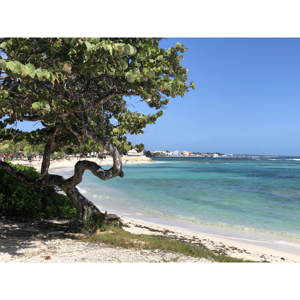 照片 瓜德罗普(Guadeloupe) 圣弗朗索瓦(Saint Francois) 2021-02 45