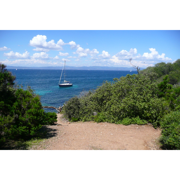 照片 法国(France) 波克罗勒岛(Porquerolles Island) 勒坎角(Pointe du Lequin) 2008-05 19