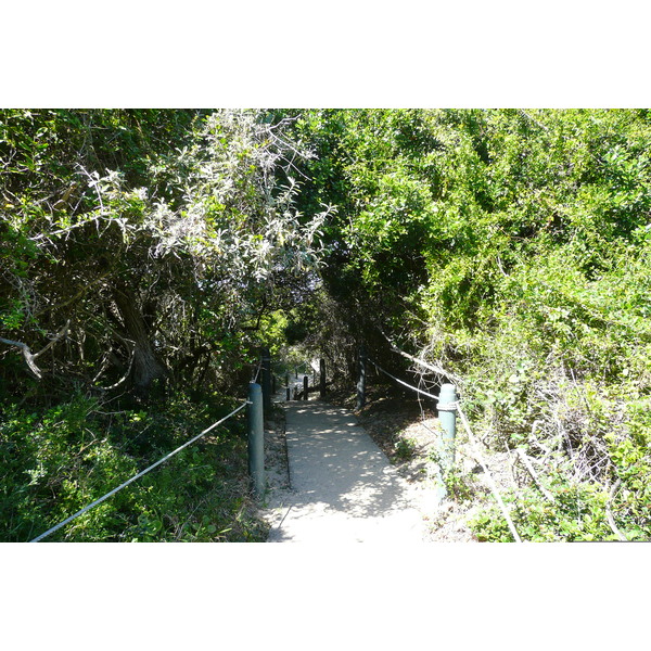 照片 南非(South Africa) 自然谷(Nature's Valley) 2008-09 94