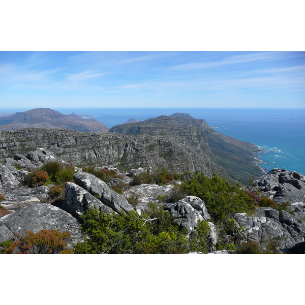 照片 南非(South Africa) 开普敦(Cape Town) 桌山(Table Mountain) 2008-09 18