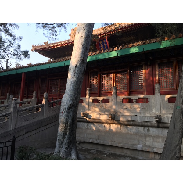 照片 中国(China) 北京(Beijing) 紫禁城(Forbidden City) 2015-12 170