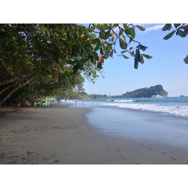 照片 哥斯达黎加(Costa Rica) 曼努埃尔安东尼奥(Manuel Antonio) 2015-03 125