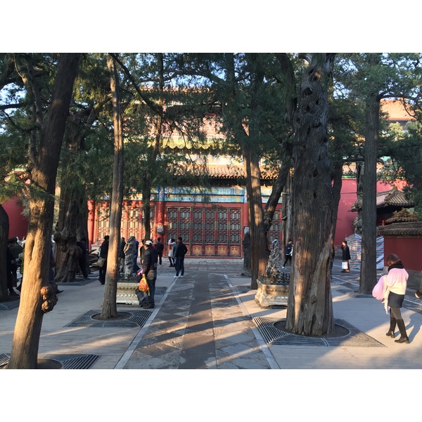 照片 中国(China) 北京(Beijing) 紫禁城(Forbidden City) 2015-12 150