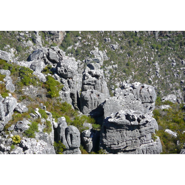 照片 南非(South Africa) 开普敦(Cape Town) 桌山(Table Mountain) 2008-09 37