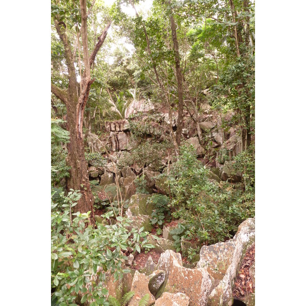 照片 塞舌尔(Seychelles) 拉迪格岛(La Digue) 2011-10 111