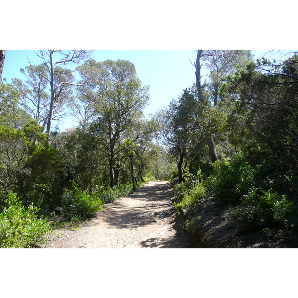 照片 法国(France) 波克罗勒岛(Porquerolles Island) 阿利卡斯特尔海滩(Alycastre beach) 2008-05 17