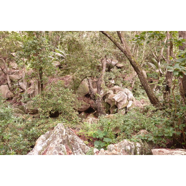 照片 塞舌尔(Seychelles) 拉迪格岛(La Digue) 2011-10 91