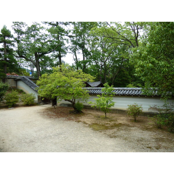 照片 日本(Japan) 京都(Kyoto) 仁和寺(Ninna ji Temple) 2010-06 37