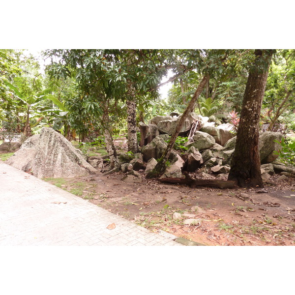 照片 塞舌尔(Seychelles) 拉迪格岛(La Digue) 2011-10 166