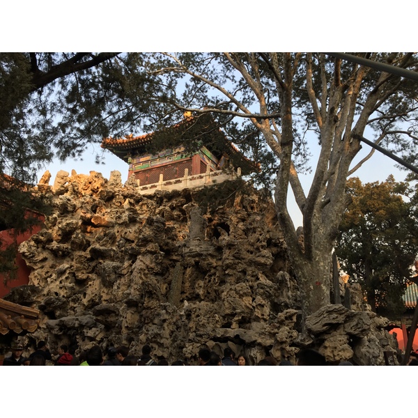 照片 中国(China) 北京(Beijing) 紫禁城(Forbidden City) 2015-12 123