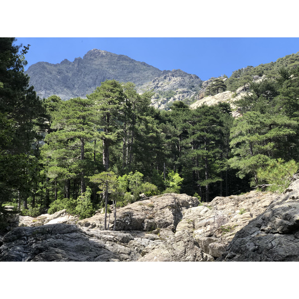 照片 法国(France) 科西嘉岛(Corsica) 英国人瀑布(Cascade des Anglais) 2020-07 53
