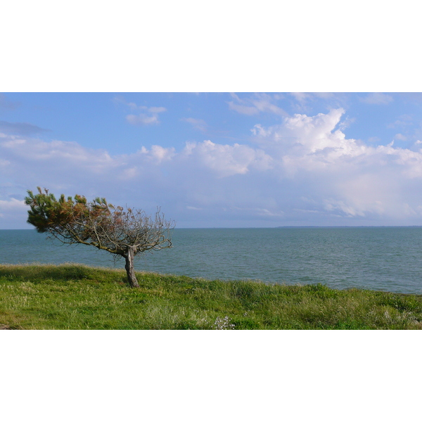照片 法国(France) 普雷法耶(Prefailles) 普雷法耶至默勒港(Prefailles to Port Meuleu) 2007-07 28
