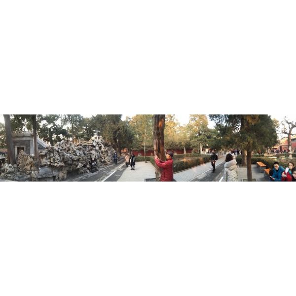 照片 中国(China) 北京(Beijing) 紫禁城(Forbidden City) 2015-12 91