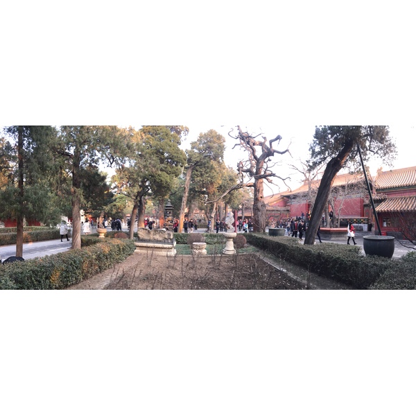 照片 中国(China) 北京(Beijing) 紫禁城(Forbidden City) 2015-12 98