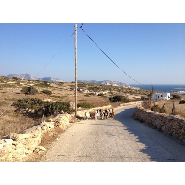 照片 希腊(Greece) 库福尼西亚群岛(Koufonissia) 2014-07 113