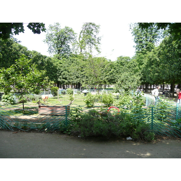 照片 法国(France) 巴黎(Paris) 杜乐丽花园(Garden of Tuileries) 2007-05 322
