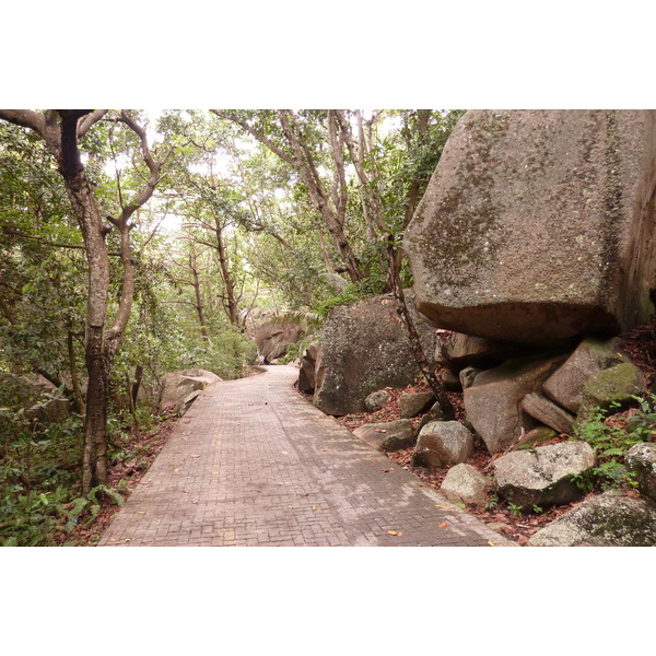 照片 塞舌尔(Seychelles) 拉迪格岛(La Digue) 2011-10 164