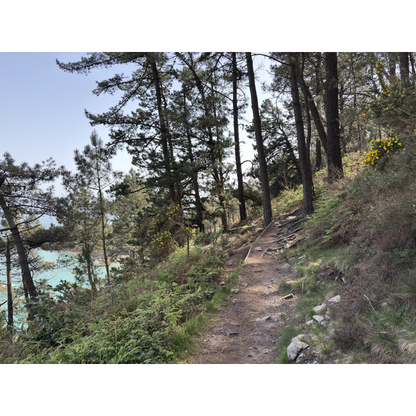 照片 法国(France) 克罗宗(Crozon) 处女岛海滩(Ile Vierge Beach) 2026-04 37