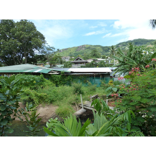 照片 塞舌尔(Seychelles) 马埃岛(Mahe) 2011-10 53